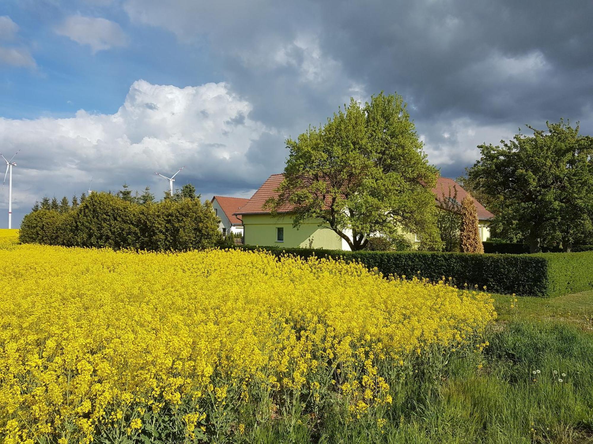 Ferienhaus Uckermark Casekow Exterior photo
